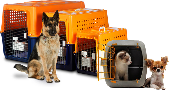 Pet Services